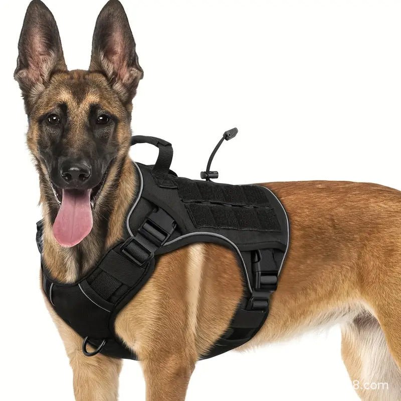 Harnais chien anti traction | Confort Anti-Traction