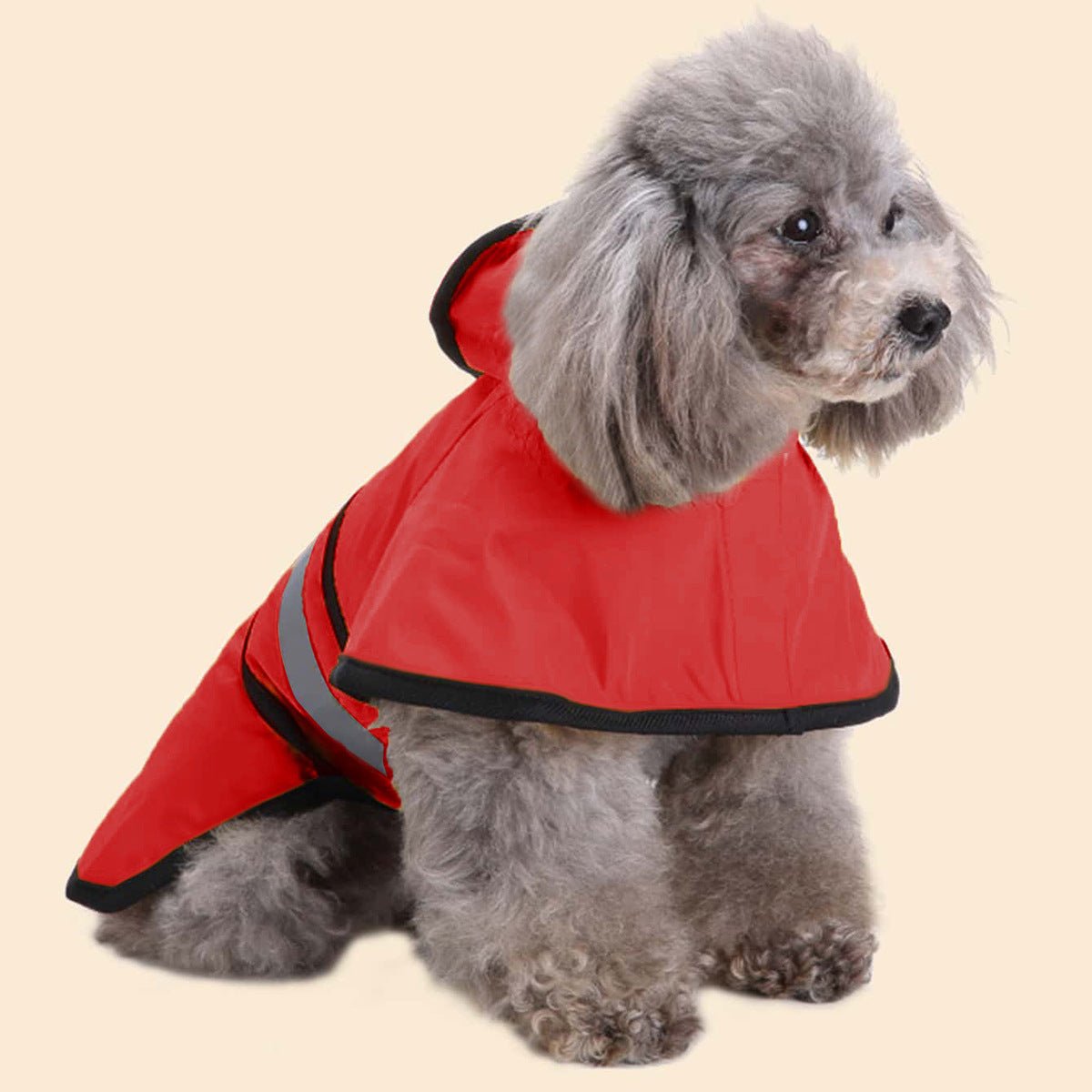 Imperméable pour chien | Résistant et Confortable