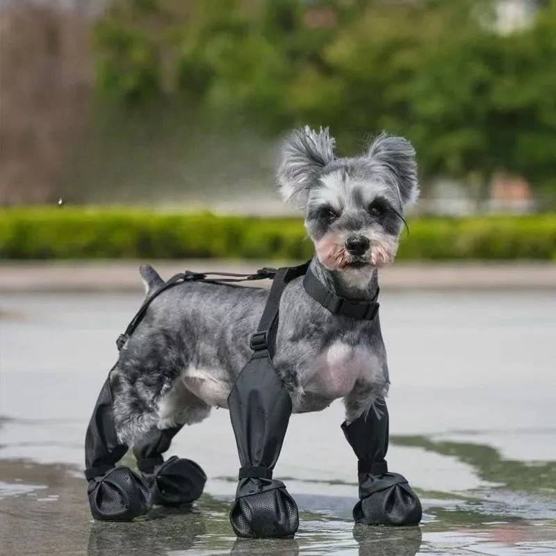Chaussure chien | Antidérapantes Imperméables
