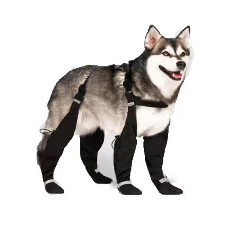 Chaussure chien | Antidérapantes Imperméables