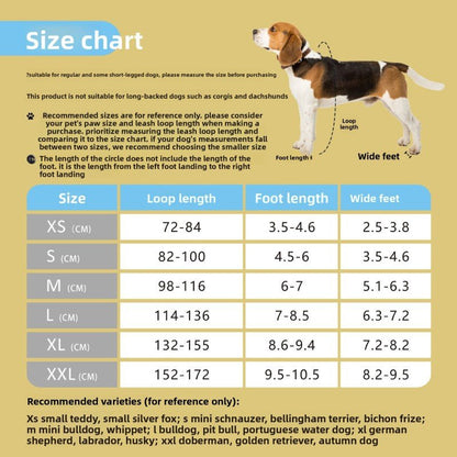 Chaussure chien | Antidérapantes Imperméables