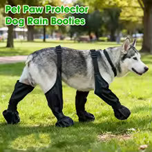 Chaussure chien | Antidérapantes Imperméables