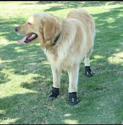 Chaussure pour Chien | Protection 4 Saisons