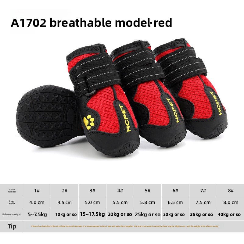 Chaussure pour Chien | Protection 4 Saisons