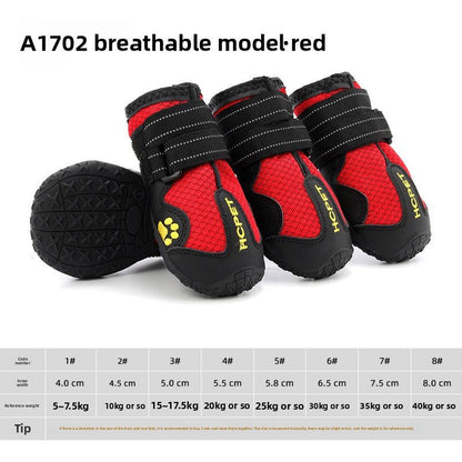Chaussure pour Chien | Protection 4 Saisons