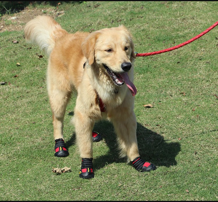 Chaussure pour Chien | Protection 4 Saisons