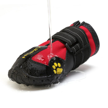 Chaussure pour Chien | Protection 4 Saisons