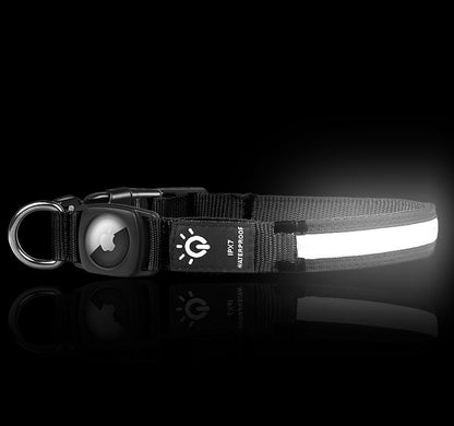Collier lumineux pour chien | Glow n' Track