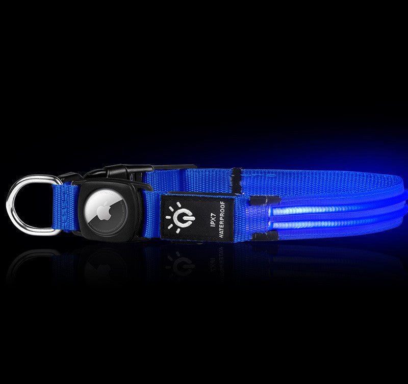 Collier lumineux pour chien | Glow n' Track