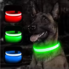 Collier lumineux pour chien | Glow n' Track