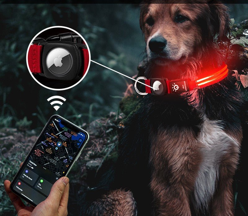 Collier lumineux pour chien | Glow n' Track