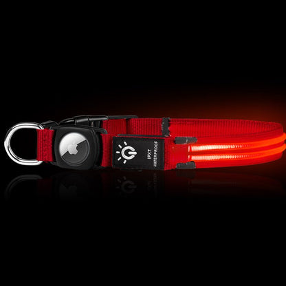 Collier lumineux pour chien | Glow n' Track