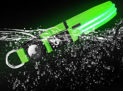Collier lumineux pour chien | Glow n' Track