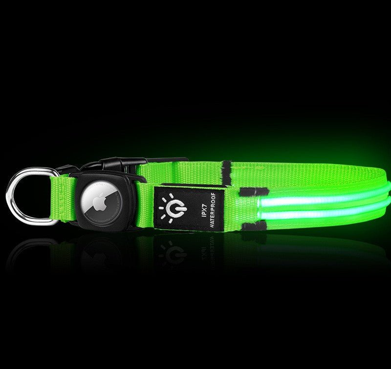 Collier lumineux pour chien | Glow n' Track