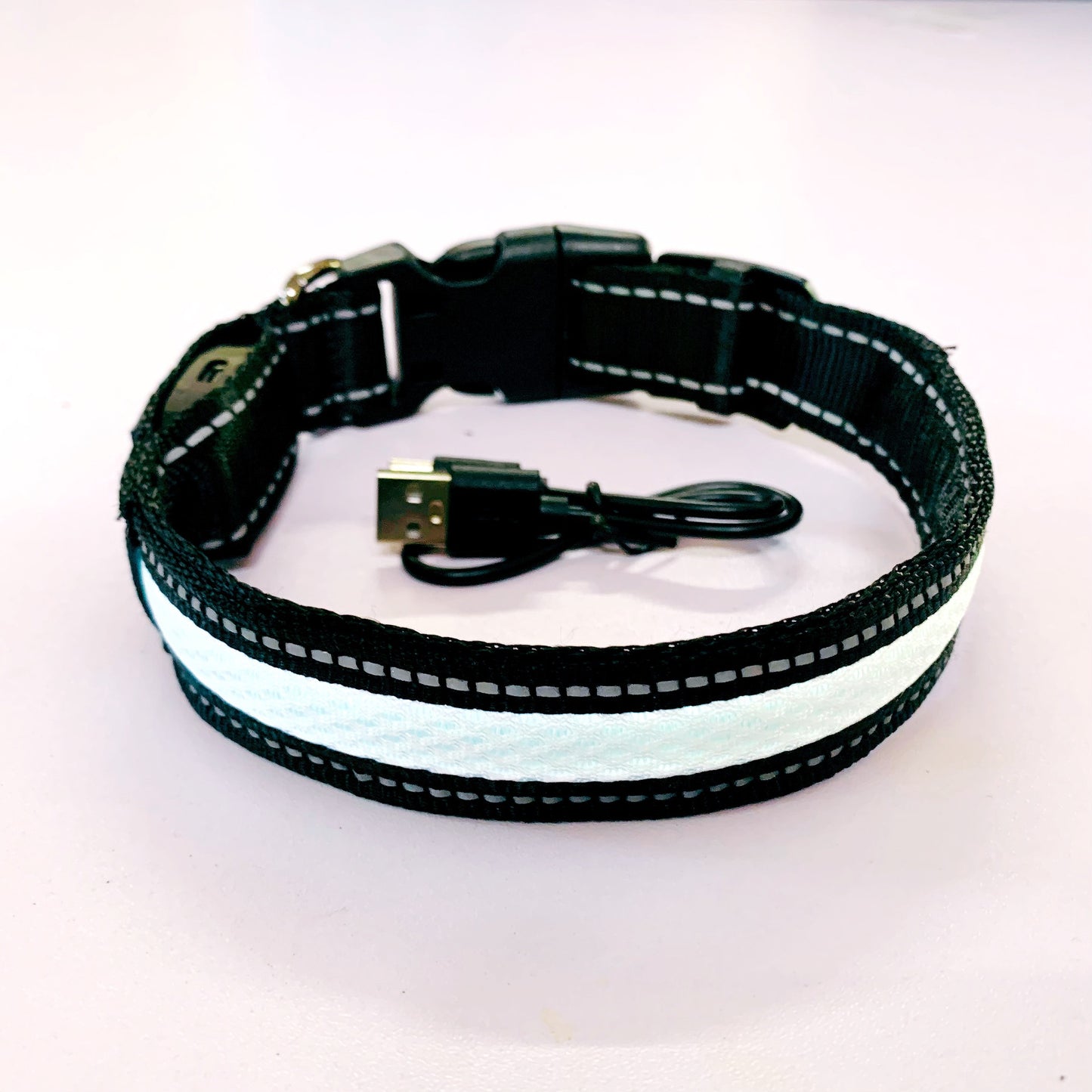 Collier lumineux pour chien | GlowSafe