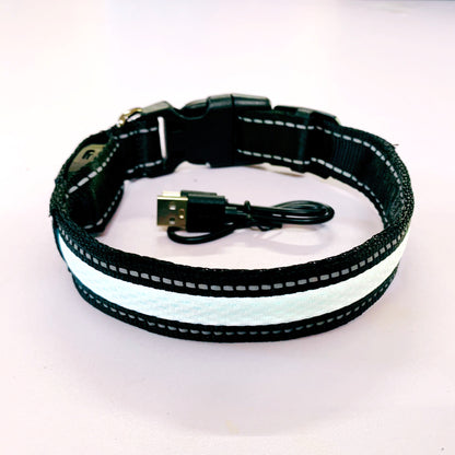 Collier lumineux pour chien | GlowSafe