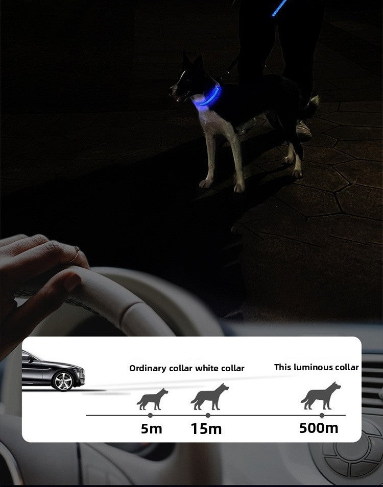 Collier lumineux pour chien | GlowSafe