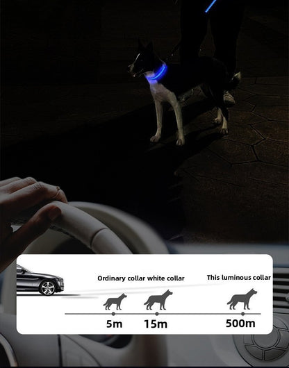 Collier lumineux pour chien | GlowSafe