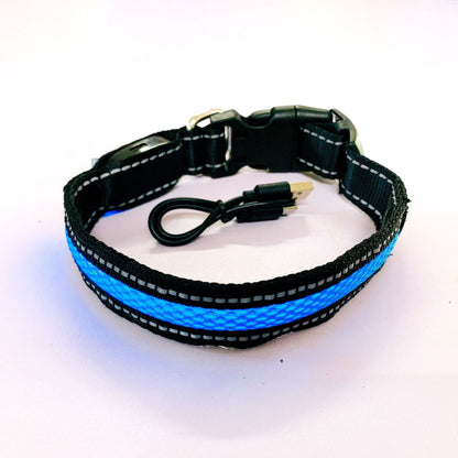 Collier lumineux pour chien | GlowSafe