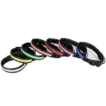 Collier lumineux pour chien | GlowSafe