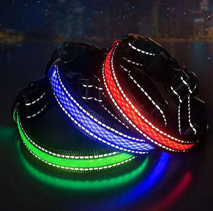 Collier lumineux pour chien | GlowSafe