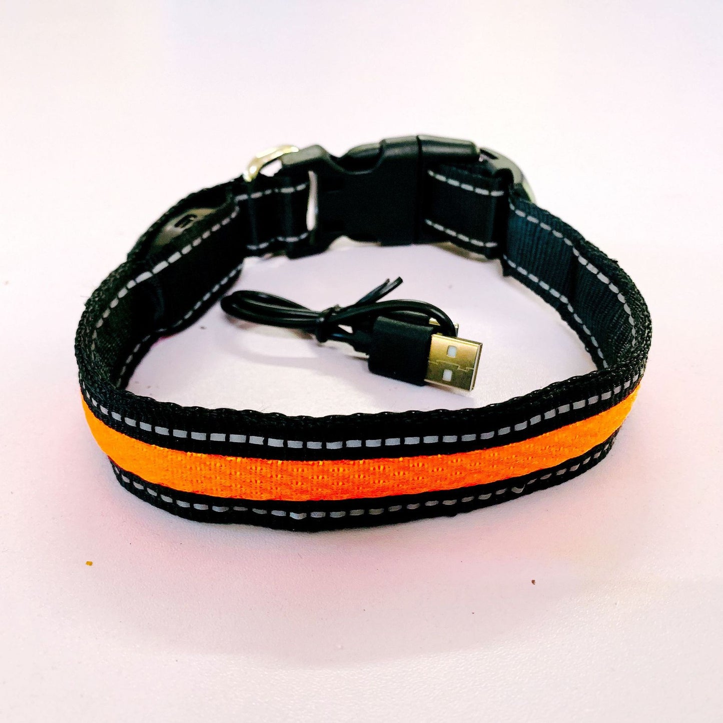 Collier lumineux pour chien | GlowSafe