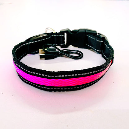 Collier lumineux pour chien | GlowSafe