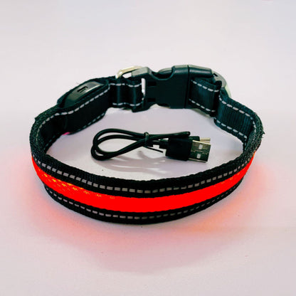 Collier lumineux pour chien | GlowSafe