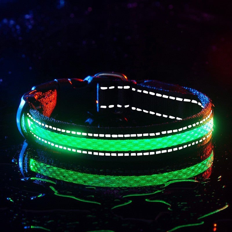 Collier lumineux pour chien | GlowSafe