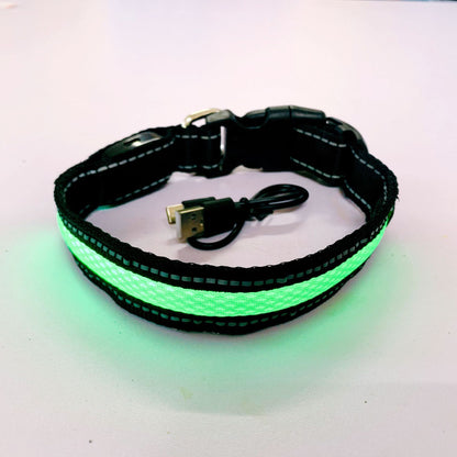 Collier lumineux pour chien | GlowSafe