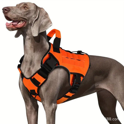 Harnais chien anti traction | Confort Anti-Traction