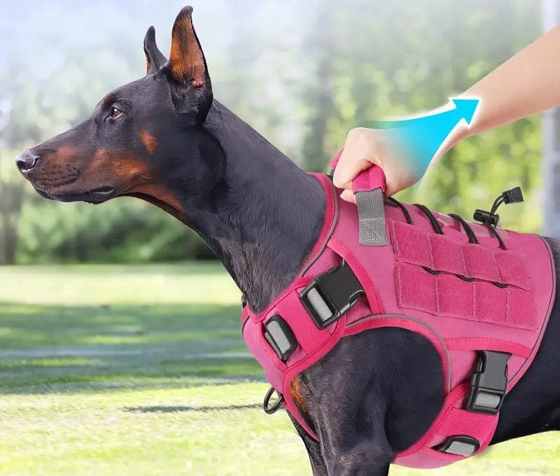 Harnais-chien-anti-traction-Confort-Anti-Traction-poignee