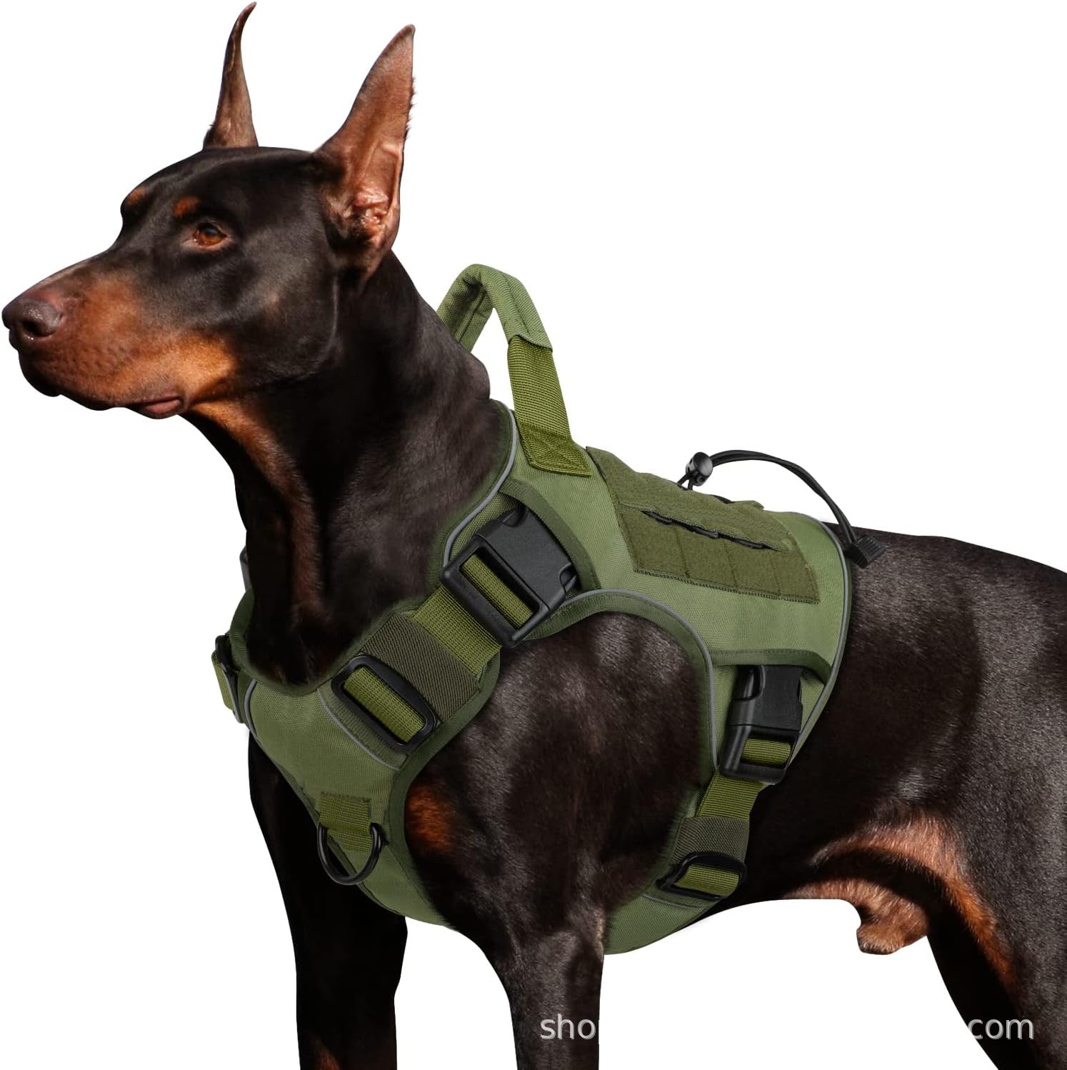 Selected Variant Image