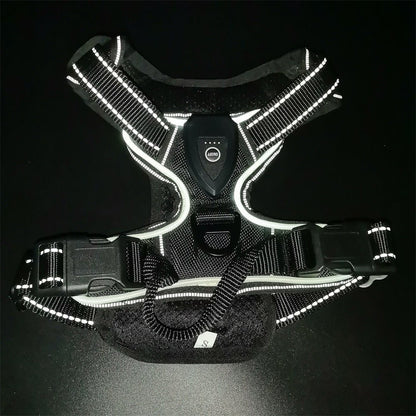 Harnais chien anti traction | Glow Master