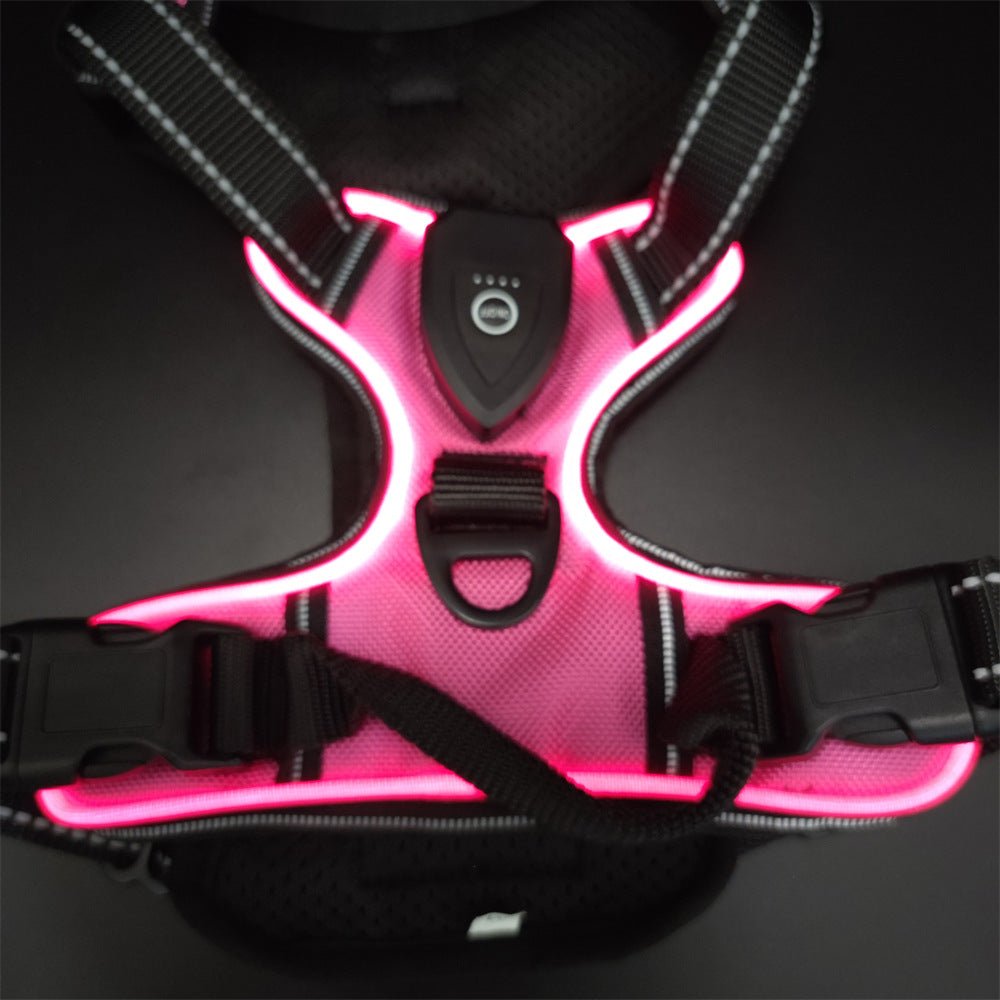 Harnais chien anti traction | Glow Master