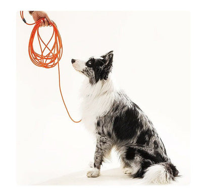 Laisse pour Chien | Adventure Master