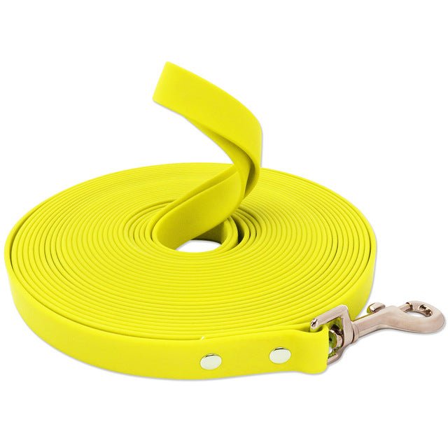 Laisse pour Chien | Free Walk