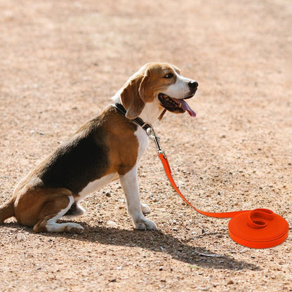 Laisse pour Chien | Free Walk