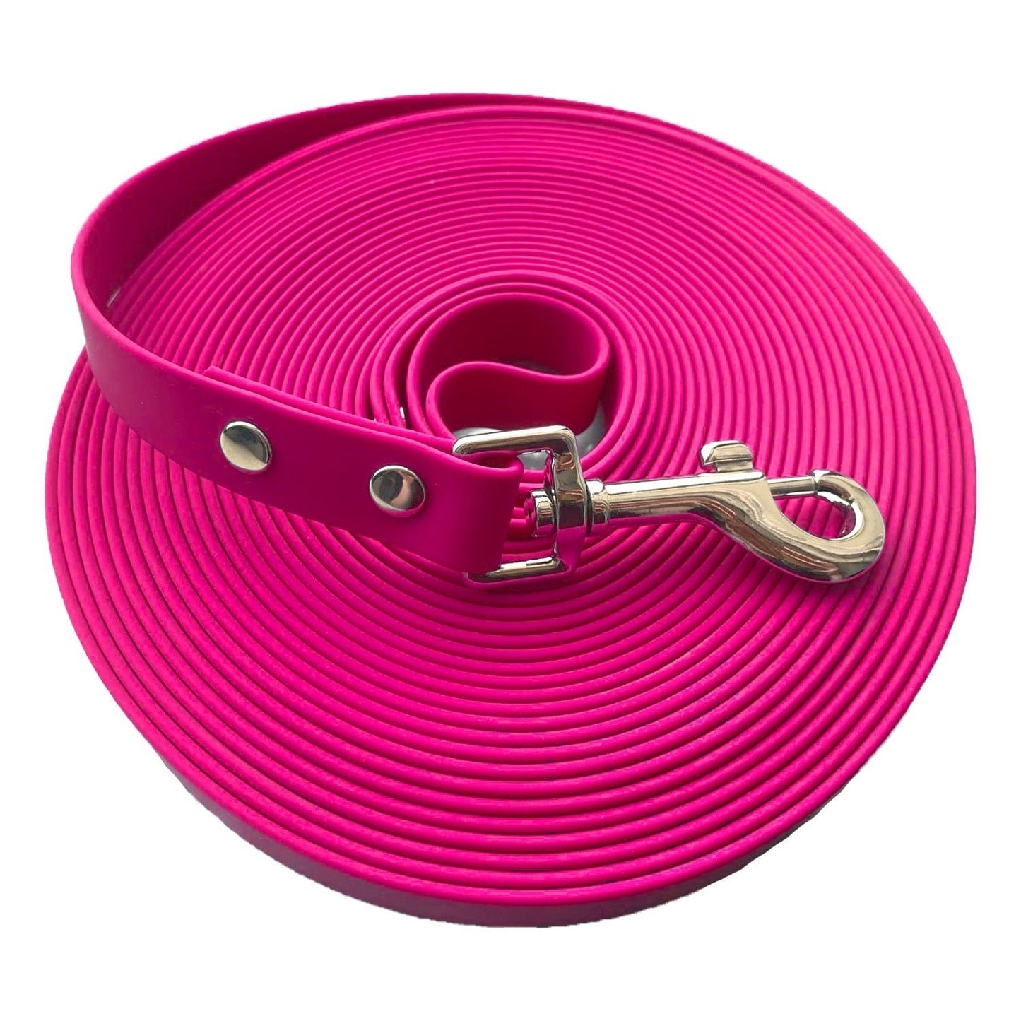 Laisse pour Chien | Free Walk