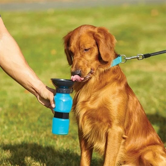 Gourde pour chien​ bleu