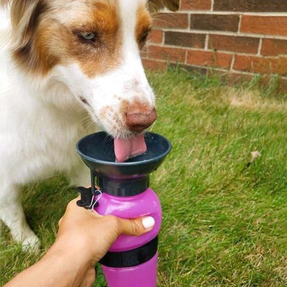 Gourde pour chien​ rose