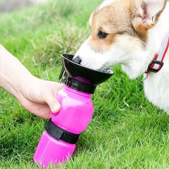 Gourde pour chien​ rose