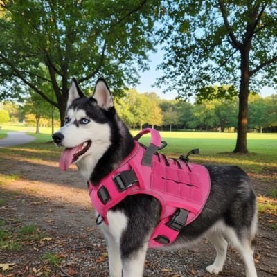 Harnais chien rose