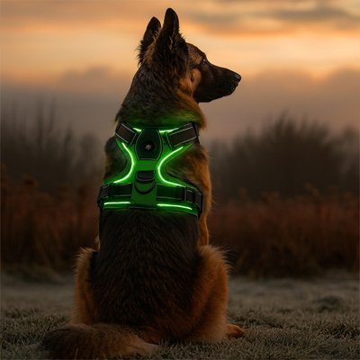Harnais chien vert