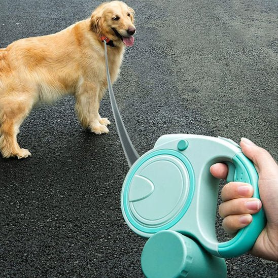 Laisse pour Chien