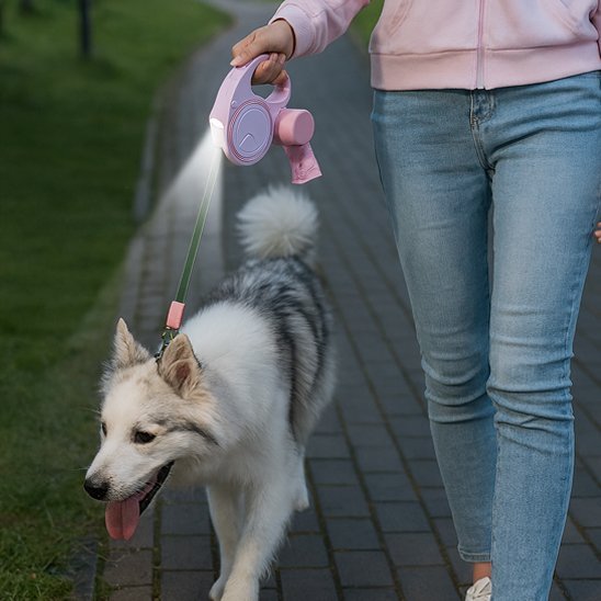 Laisse pour Chien